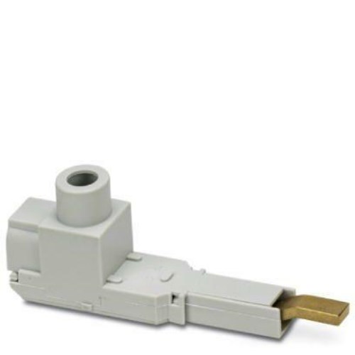 2907998_1 - 99c34134-f192-445c-9ab2-17053adcf08e.jpg