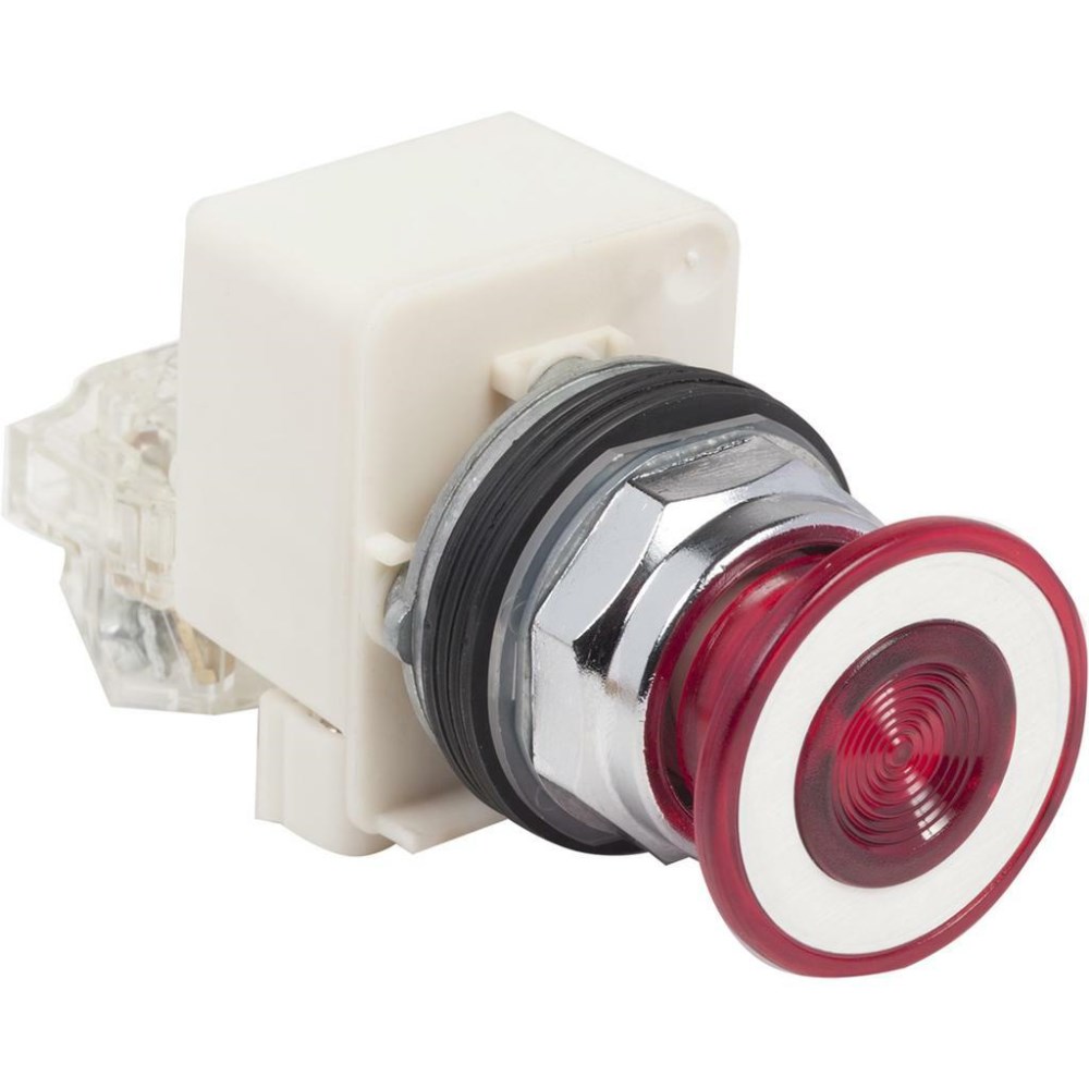 9001KR9P32RH13_1 - 4d411e3b-bc73-452f-ad2c-9fe5315f6adf.jpg