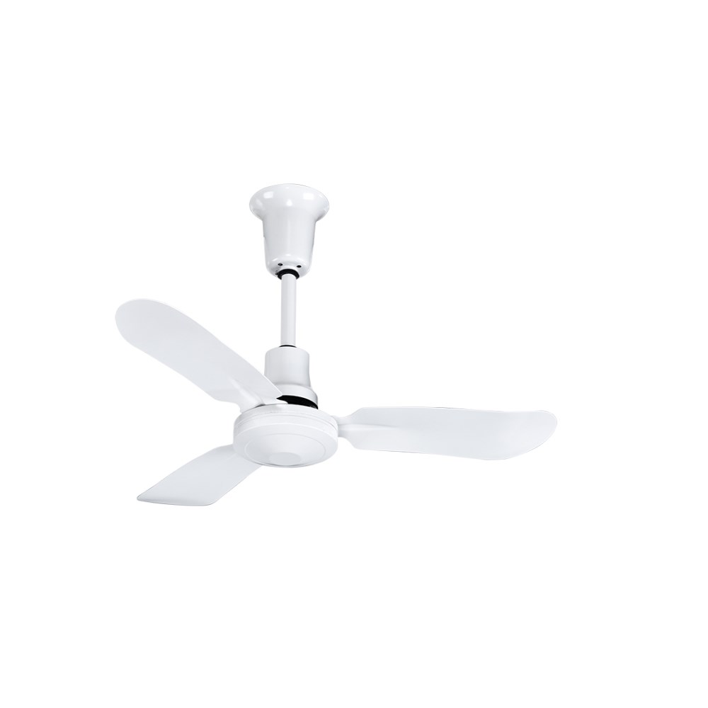 BAN-136F-10_1 - 2aaeb0e8-859e-47d4-9641-53d6be4ececd.jpg