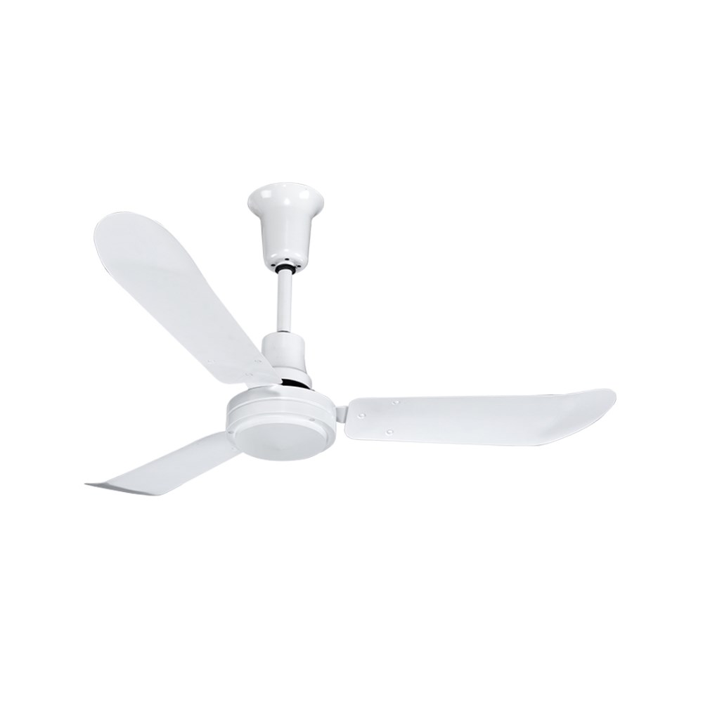 BAN-AD48_1 - 96e71566-e933-4cfb-b164-fe9802436d91.jpg