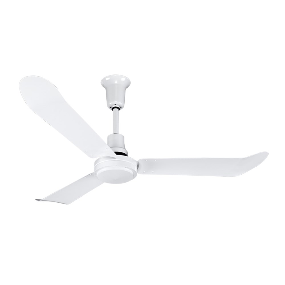 BAN-AD56_1 - fbaf8a73-96e4-48af-9a95-2af20445e31d.jpg