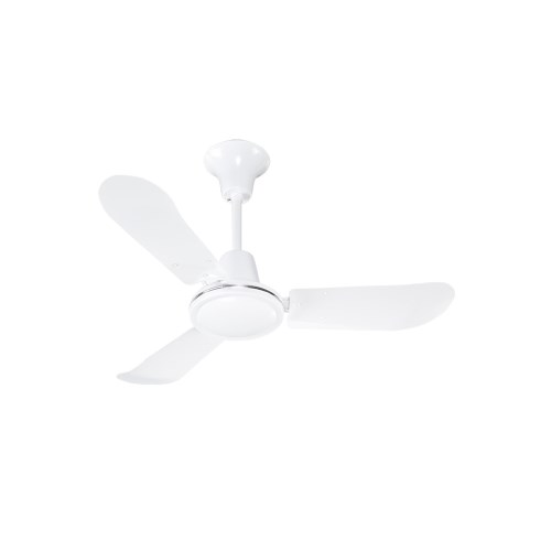 BAN-FP36R_1 - e3622360-3364-49c6-854d-ba9226b503e5.jpg