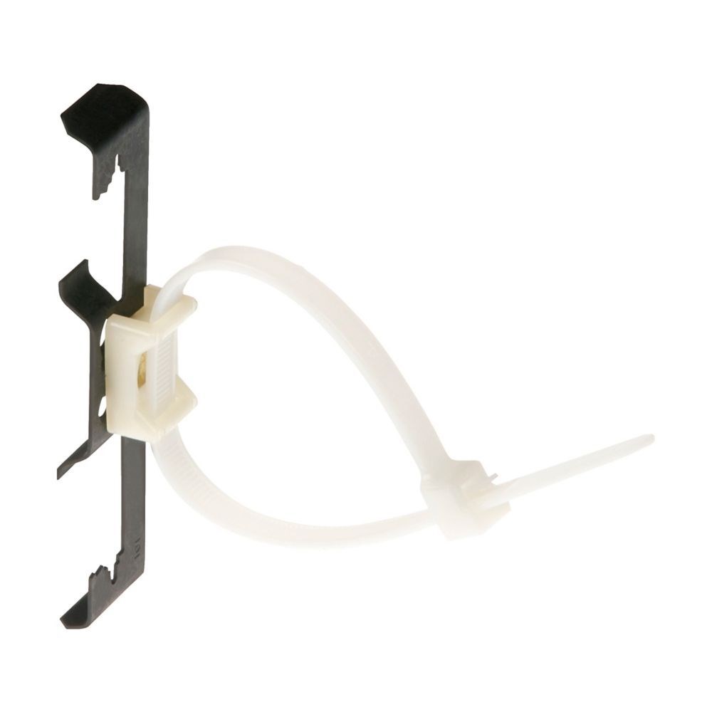 BLI-BW2-CT2_1 - a3d2f824-ed35-41a3-96f5-e610ed510c3f.jpg