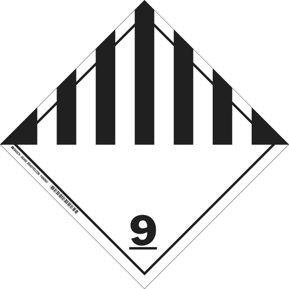 BRA-63434_1 - a9a50640-457c-4bde-ad34-5fb6d971b810.jpg