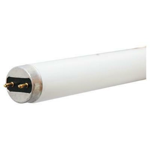 F25T8SPX41ECO_1 - 23f744fa-d0db-4d61-ac4e-c33981930823.jpg