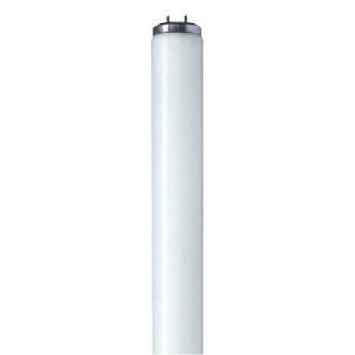 F40T12CWRSG13METRIC_1 - 1910a751-e727-4276-aa9c-e7a248cfdb84.jpg