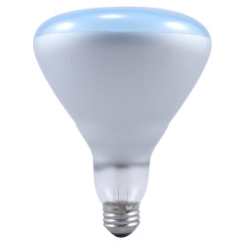 LSL-120BRGROW3RP120V_1 - 3453a61c-e5de-4175-8304-11720eac36dc.jpg