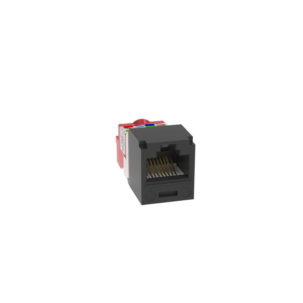 PAN-CJ5E88TBL_1 - bfe5b263-1b73-4269-aa8e-2c2783c614ba.jpg