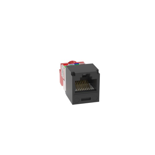 PAN-CJ5E88TBL_1 - bfe5b263-1b73-4269-aa8e-2c2783c614ba.jpg