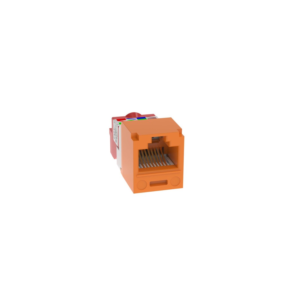 PAN-CJ5E88TOR_1 - af604f80-e3b2-491e-85a6-1fc4a1c42a04.jpg