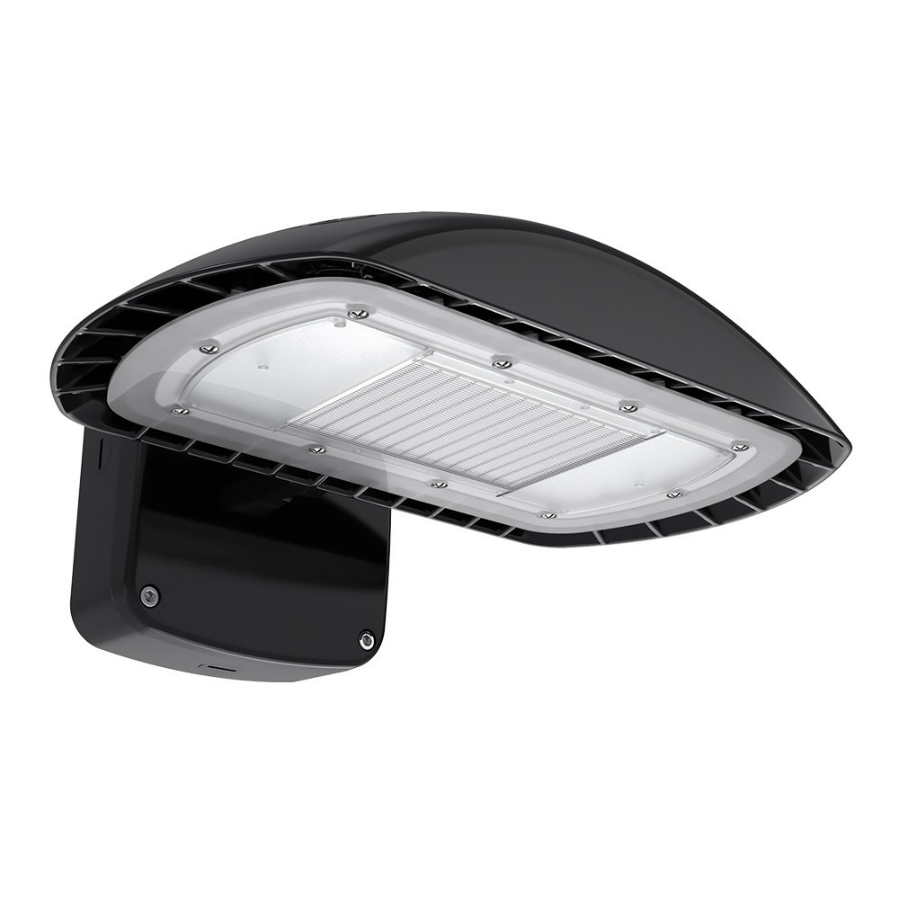 RAB-080883_1 - a36b7c28-cbeb-4de5-95d7-6f30cd2acf5c.jpg