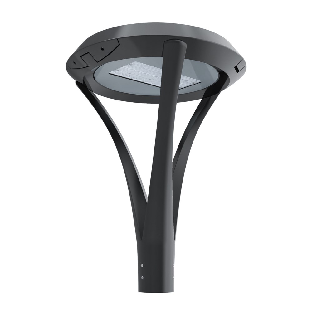 RAB-080933_1 - e714b981-9663-4b56-a80f-a7a19525e000.jpg