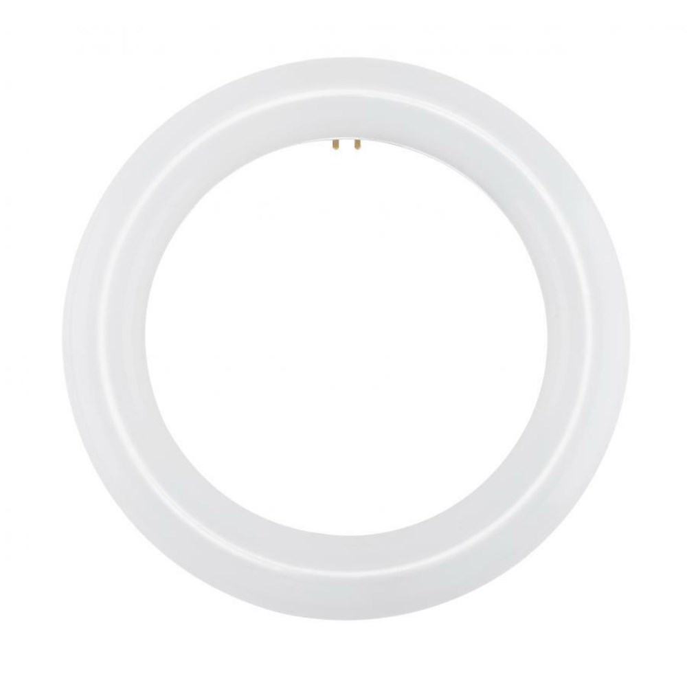 SAT-S16500_1 - f99e5eba-356b-45f8-b351-9160f9ddd424.jpg