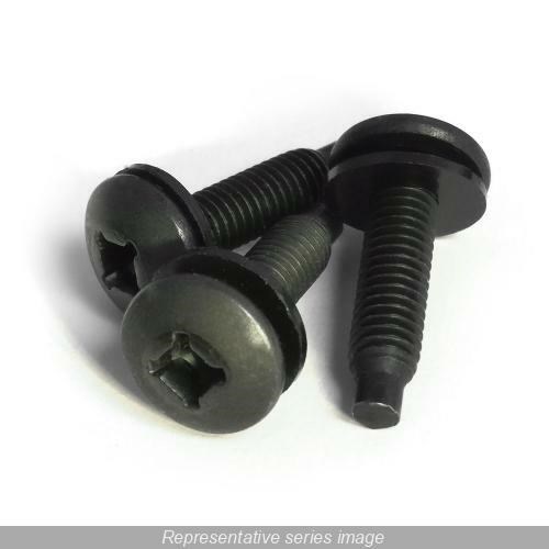 SCREW103250_1 - dfef66ea-31d1-4d5f-abd3-32afa7c9d48c.jpg