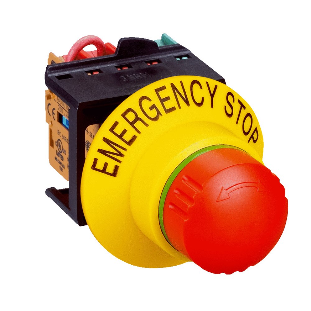 SIC-6053944_1 - 03f7df3e-2c04-49aa-8e52-da4171d376bb.jpg