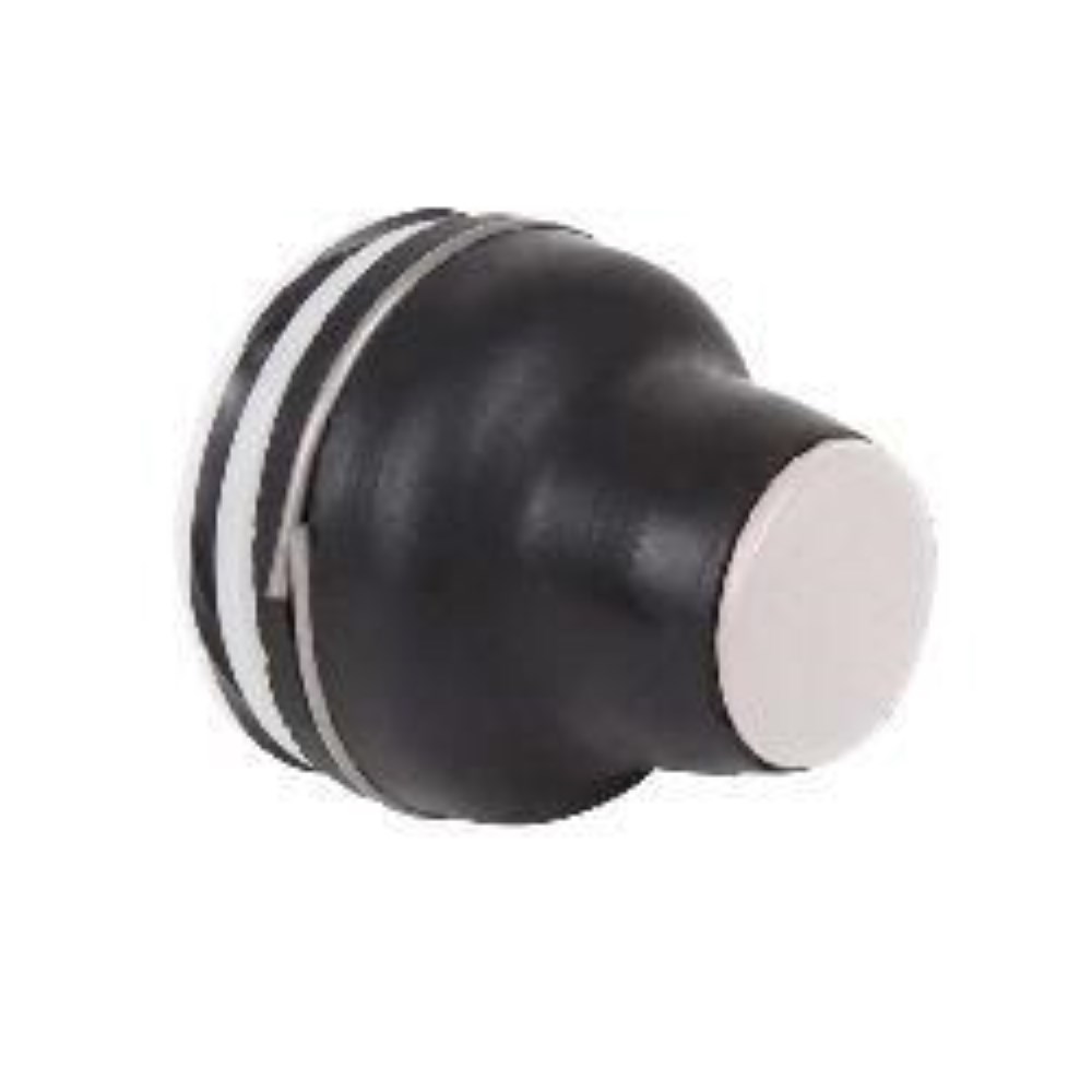 XACB9121_1 - 64acb0c9-890f-46c7-b2d1-70bb35d70b48.jpg