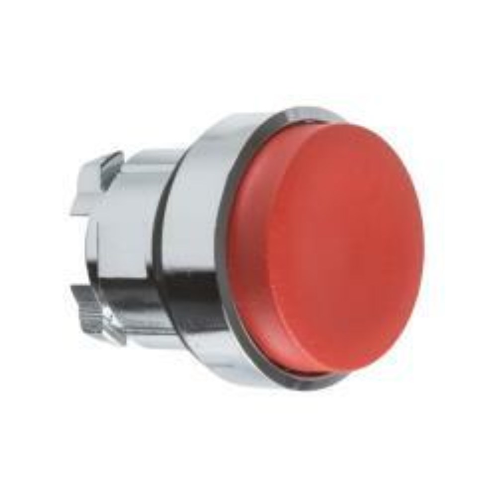 ZB4BH4_1 - 1f4604a5-3a2b-43ed-9894-481707b87f32.jpg