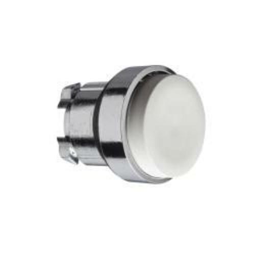 ZB4BL1_1 - 7fa220ed-6ba6-4159-80fa-390ee2539a1f.jpg