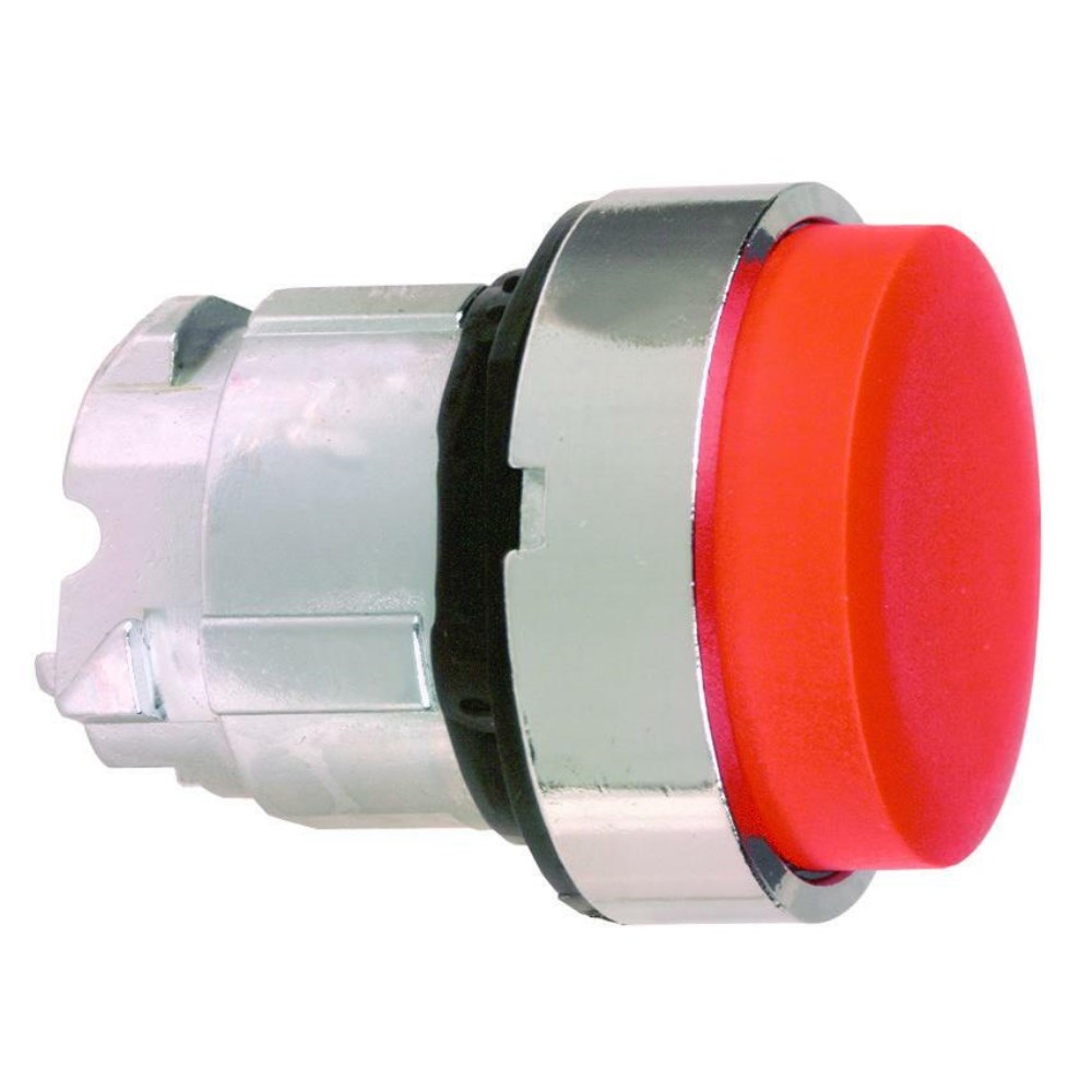 ZB4BL4_1 - f5c3c81e-db34-4725-9018-5c1f5de38ef2.jpg