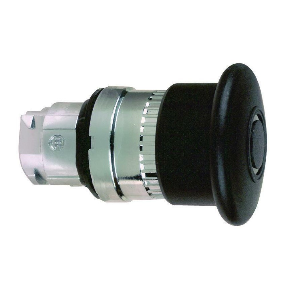 ZB4BT2_1 - 3a681884-b9a2-4c39-88bf-551335cf8f08.jpg