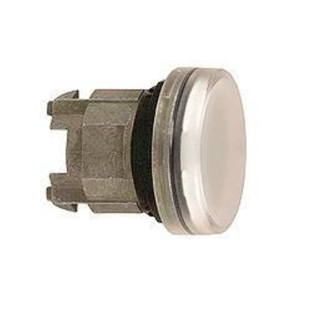 ZB4BV003_1 - 3bbe3f78-6a73-4756-bfdf-9d776b732bab.jpg