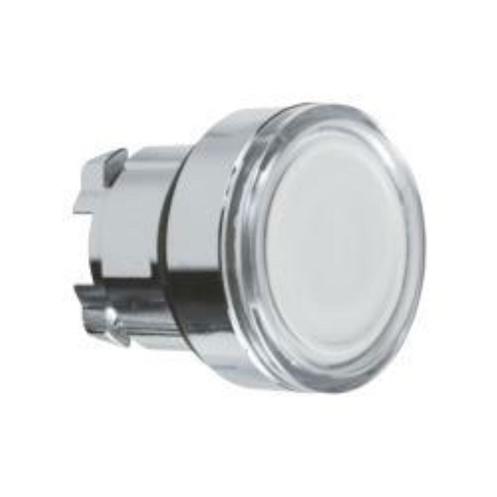 ZB4BW31_1 - 6330c9d9-e060-46e2-b48b-a3c22d7169b0.jpg