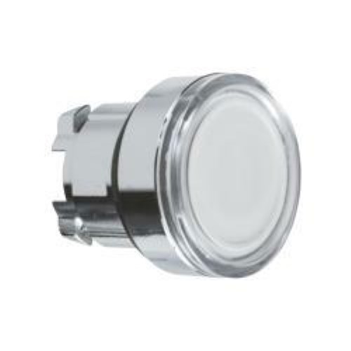 ZB4BW31_1 - 6330c9d9-e060-46e2-b48b-a3c22d7169b0.jpg