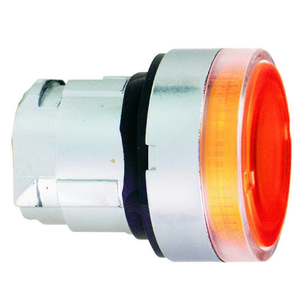 ZB4BW35_1 - c5e5da94-30a5-41a8-a8bd-1c6ed0167051.jpg