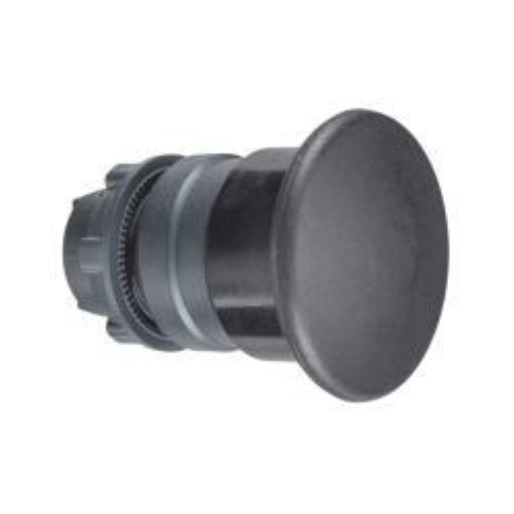 ZB5AC2_1 - 74acb5d6-7d16-44dc-bb57-7994b7deb35b.jpg