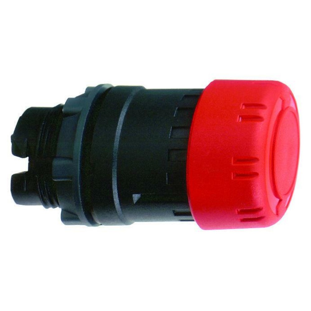 ZB5AS834_1 - 242f351b-c576-40ca-8b1d-7afdd597534e.jpg