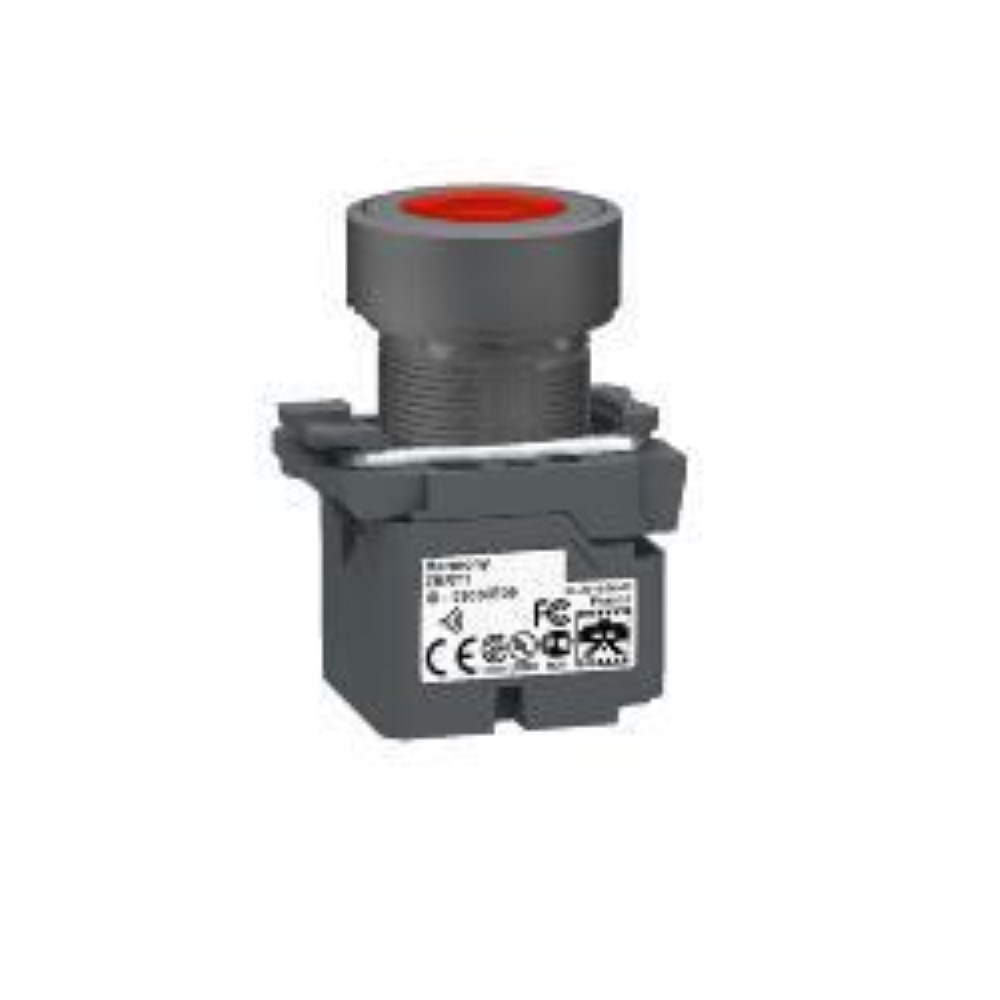 ZB5RTA4_1 - 5e65f8be-e242-4aee-8e3e-23cf6f9d8425.jpg