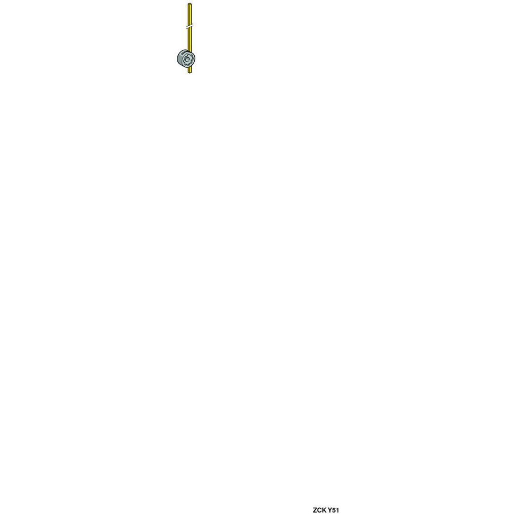 ZCKY51_1 - b4ef86f7-c5c4-499e-abf1-9130d07db322.jpg