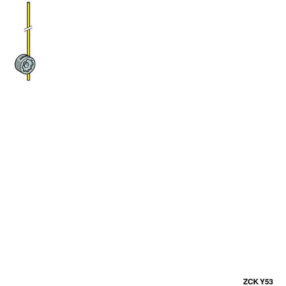 ZCKY53_1 - d68bd557-3a69-4a96-a446-3e811a786b4e.jpg